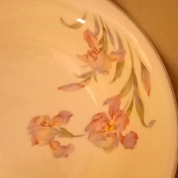 Vintage Universal Cambridge Iris Camwood Ivory- Large Vegetable Bowl - Picture 3 of 12